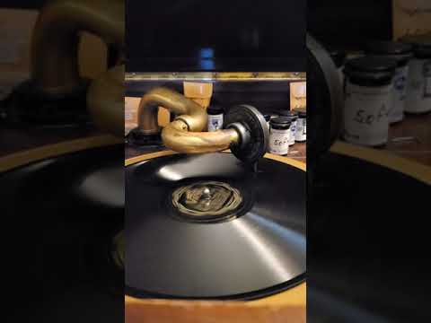 Wait til' You See Ma Cherie - Ben Pollack and his Park Central Orchestra  Victor Records #21941