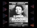 Luka Bloom - Perfect Groove
