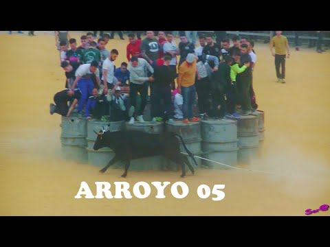 ✅2018 ARROYO 05 ◾Toros San Marcos Chico