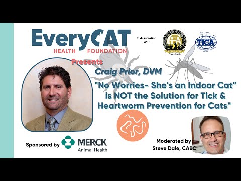 'No Worries  She's an Indoor Cat' is NOT the Solution for Tick & Heartworm Prevention for Cats'