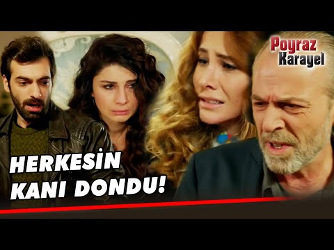 Eve Gelen Kutu Herkesi Mahvetti! - Poyraz Karayel 42. Bölüm