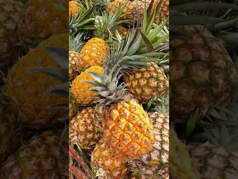 JOLLIBEE|WOW|Kcz World|#shortvideo