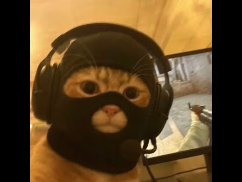 𝐈𝐋𝐘𝐌𝐓𝐘𝐊.