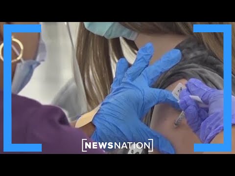 CDC warnt vor Subklade K, einer neuen Grippevariante, die sich in den USA ausbreitet | NewsNation...