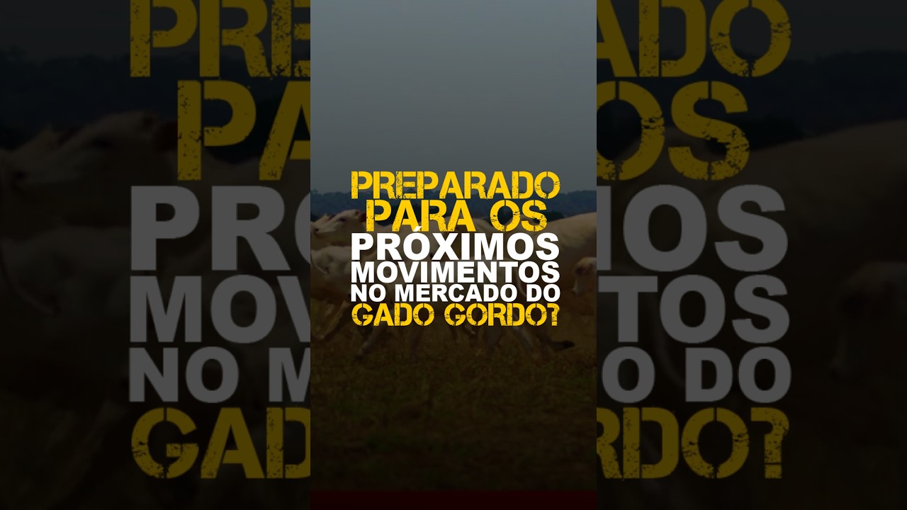 PREPARADO PARA OS PRÓXIMOS MOVIMENTOS NO MERCADO DO GADO GORDO?