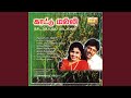 Chinna Chinna Janal