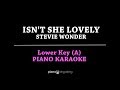 Isn't She Lovely (LOWER KEY KARAOKE PIANO COVER) Stevie Wonder with Lyrics