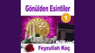 Güneş Yüzlüm