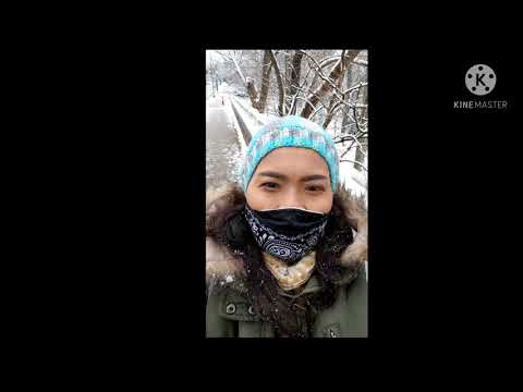 Snow day in Washington DC. February 2021