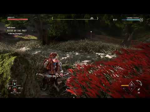 HORIZON FORBIDDEN WEST PS5 GAMEPLAY WALKTHROUGH | Part 20 | 4K HDR