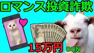 【猫ミーム】DQN＃3特級呪物