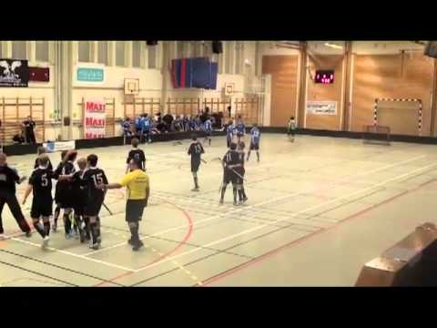 Skälby-Aston 2012-01-22.mp4