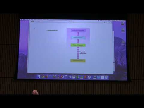 Lecture #49 Ahern's BB 451 - Translation I