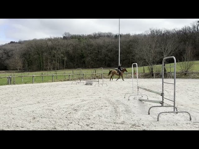 &Agrave; vendre jument de 4 ans 