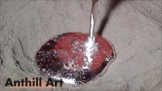 Casting a Carpenter Ant Colony with Molten Aluminum (Cast #042)