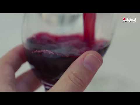 Barbini Riccardo VS Vecchione Fioravante - 21° Campionato Italiano Città di Arco