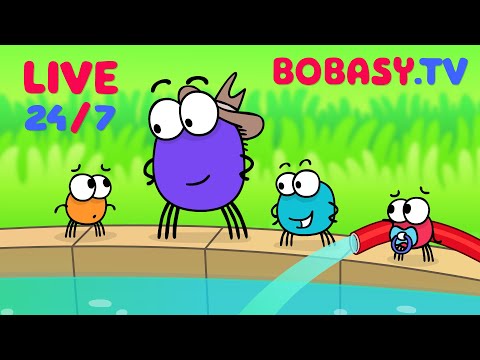 🎵 Piosenki dla Dzieci Po Polsku | Bobasy TV - Bajkowe Teledyski LIVE 24/7 🎶
