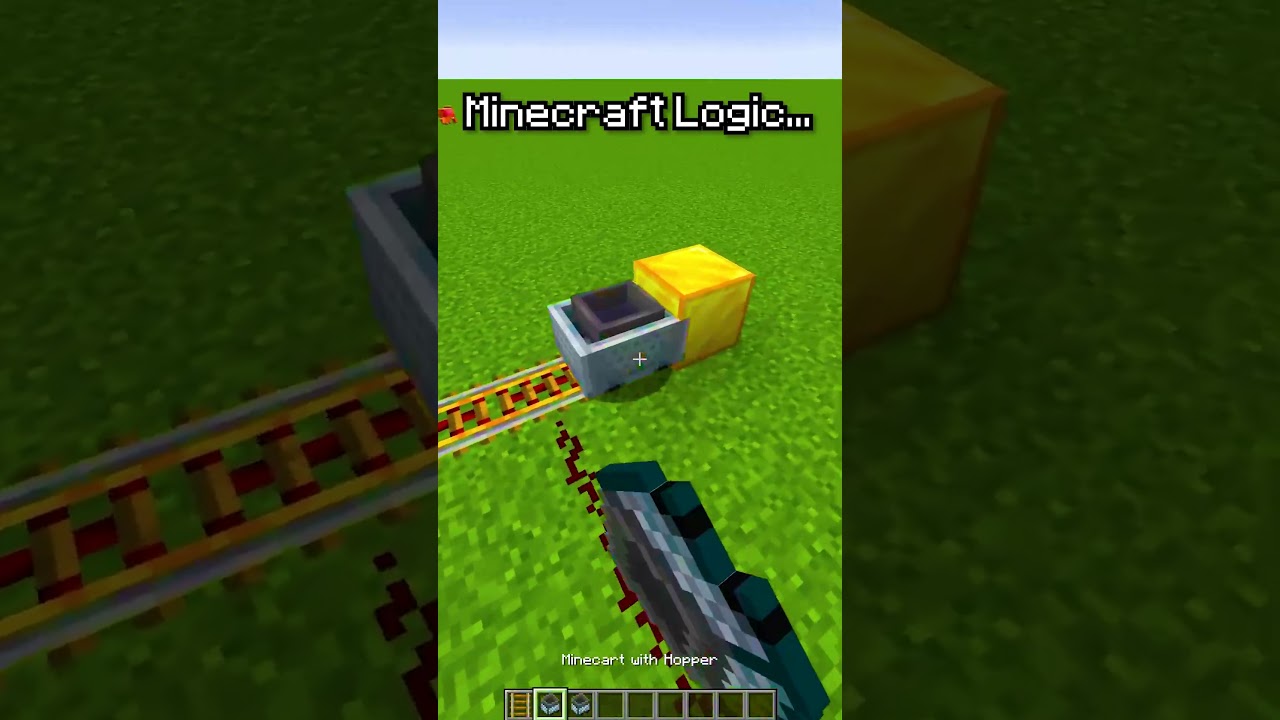 Minecraft Logic💀#minecraft #shorts