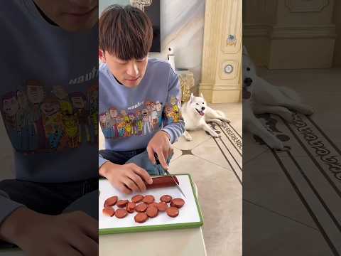 Amazing way to smart dog.... 😯#shortvideo