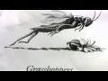 Grasshopper Poem 