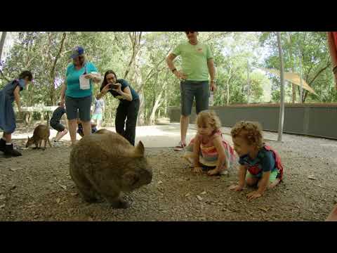 Hartley's Crocodile Adventures