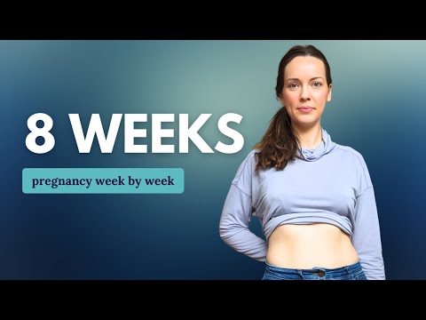 8 Weeks Pregnant 🤰 What to Expect: Changes for You & Baby Development