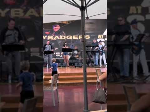Promotional video thumbnail 3 for The Honeybadgers