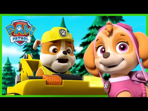 Valparna räddar laxarna  - PAW Patrol På Svenska Tecknad film för barn