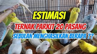 Download lagu Parakeet breeding /// estimated costs from breeding to monthly results mp3