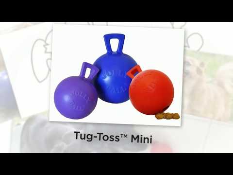 Игрушка для собак Jolly Pets TUG-N-TOSS гиря 20 см Красный (408RD) - фото 1 - id-p1897448136