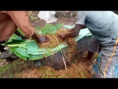 OKUSOGOLA OMUBISI N'OKUYIISA OMWENGE MU BUGANDA;Giigino emirimu egy'enjawulo egikolebwa mu kusogola.