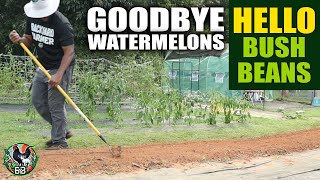 Goodbye Watermelons, Hello Bush Beans! | Garden Bed Flip, Row Cover Install & Chicken Treats