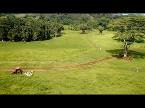 Flying in a Hawaiian Dream- Koloa Zipline  Kauai