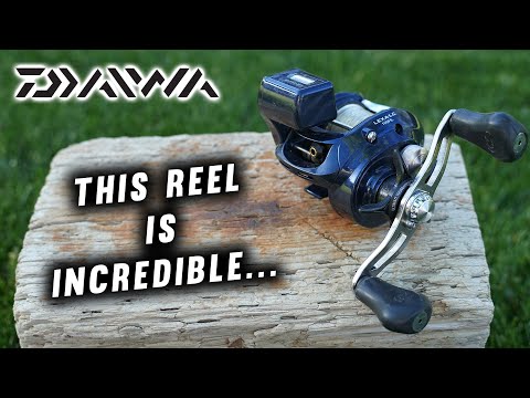 Light, Durable, and Affordable! -Daiwa Lexa LC Full Review-