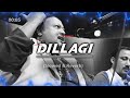 Dillagi Slowed Reverb Rahat Fateh Ali Khan