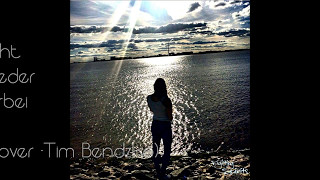 Fighting Spirits - Es geht wieder vorbei von Tim Bendzko (Cover)