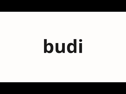 How to pronounce budi | 부디 (please in Korean)