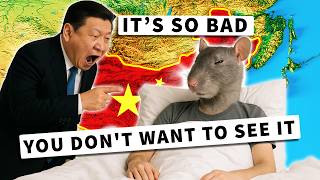 China’s “Rat People” Generation: How a Nation Gave Up