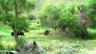 Somewhere Under the Rainbow