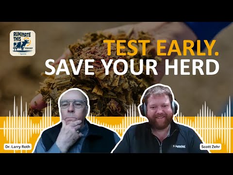 How One Missed Test Cost 9 Months of Herd Health Problems | Mycotoxin Case Study