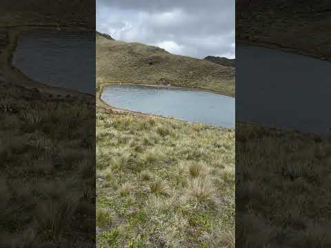 Laguna CAREPERRO cerinza Boyacá🇨🇴