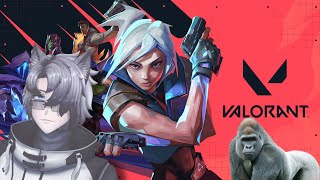 [ Valorant ] Guerrilla streaming, gorilla aiming