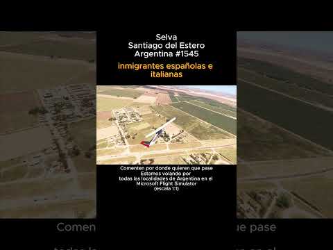 Selva, Santiago del Estero desde el Microsoft Flight Simulator #selva #santiagodelestero #msfs