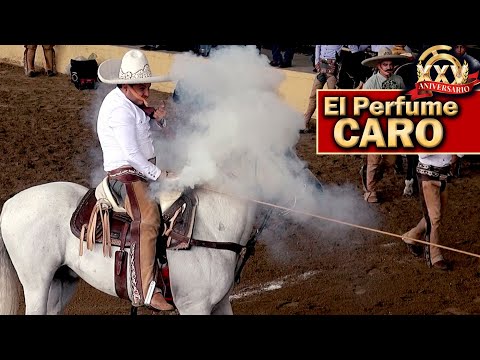 Piales - 2022 THV Millionaire Championship - Piales on the Canvas - August 30