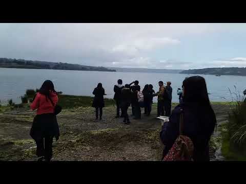 Humedal Pullao, Castro, Chiloé, Región de los Lagos