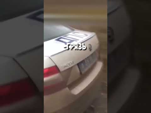 ПОЙМАЛ СОТРУДНИКОВ ДПС С ГРЯЗНЫМИ НОМЕРАМИ  #дпс  #automobile