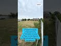 Видео превью