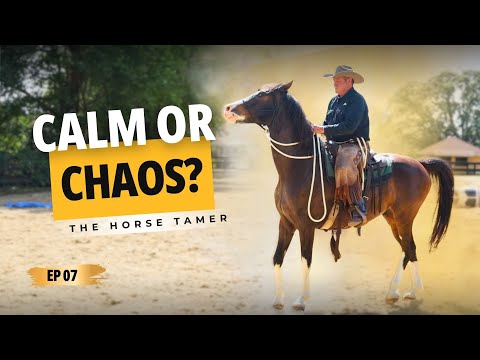 This Dangerous Horse Just Got Ridden | Ep. 7 The Horse Tamer (Mary & Milo)
