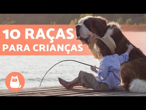 10 Best Dog Breeds for Kids 🐶👧🏼