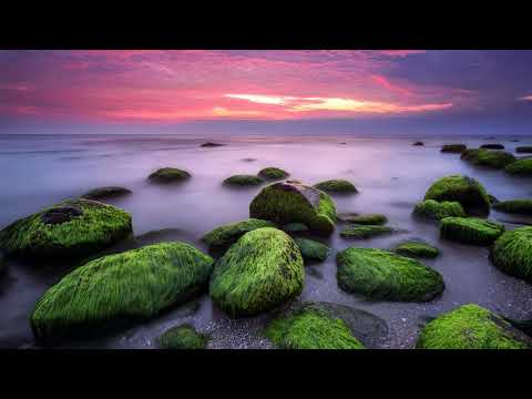 Minimal Chic feat  Mat goss - I need the key tradução